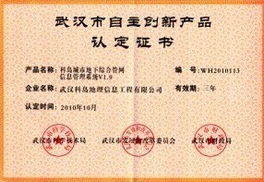 创新驱动发展，自主研发软件入选武汉市政府采购名录，引领网络技术服务新篇章