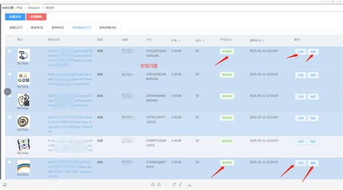 怀化地区虾皮（Shopee）上货软件贴牌定制与采集工具技术服务解析